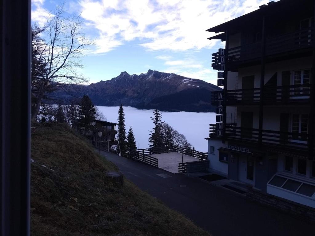 Charming And Cosy Apartment Mürren Exterior foto