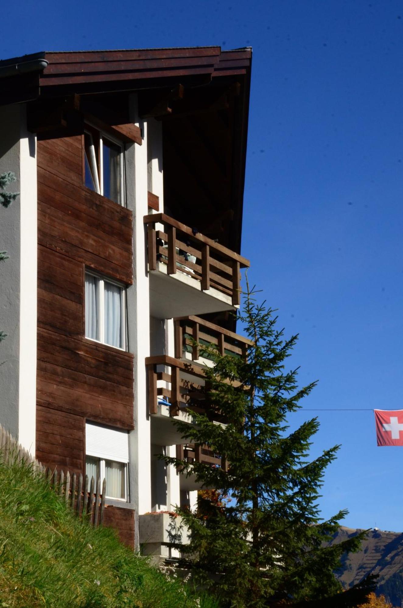 Charming And Cosy Apartment Mürren Exterior foto